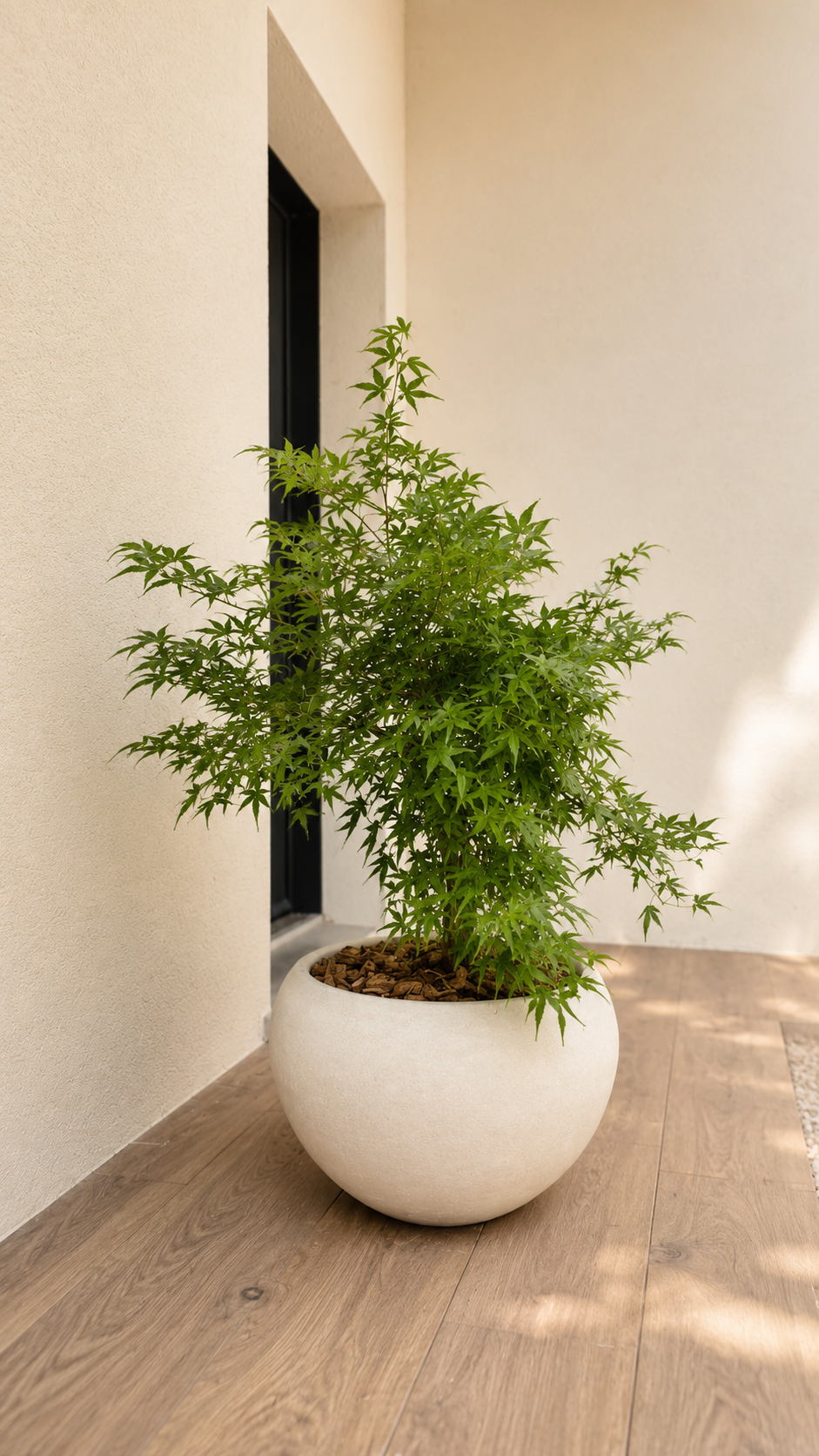 Pot Oasis en terre cuite 