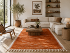 Tapis Terra dans un salon contemporain